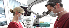 Zahnärztliche Chirurgie - Mund-, Kiefer- und Gesichtschirurgie, Implantologie & plastische Operationen Dres. Hilscher & Kollegen in 86316 Friedberg